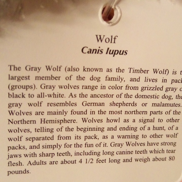 Wolf Stuffed Animal - Picture 9 of 12